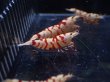 画像2: 【ShrimpFEVER限定】レッドファンシー・メス4匹・抱卵1匹・オス2匹 (2)